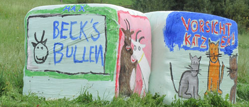 becks bullen